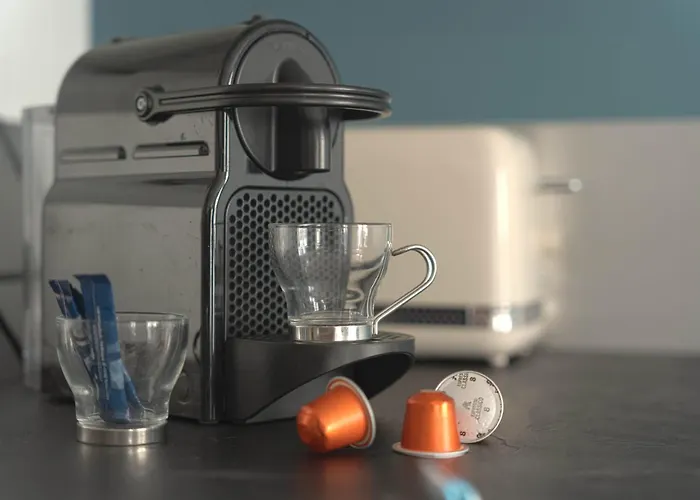 Kings And Queens - Renove - Notre-dame * Гавр